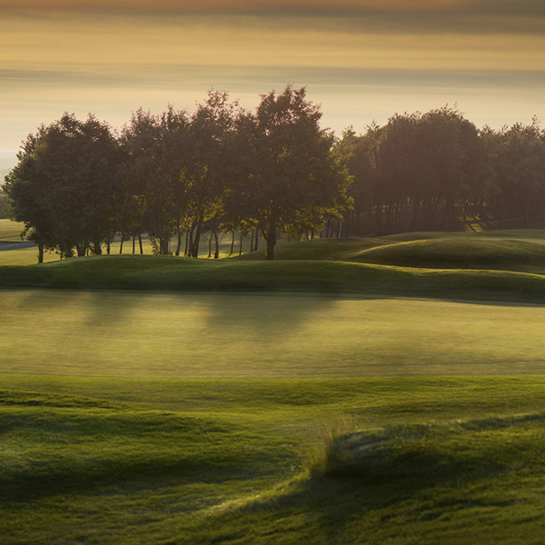 Scatter ashes at a golf course